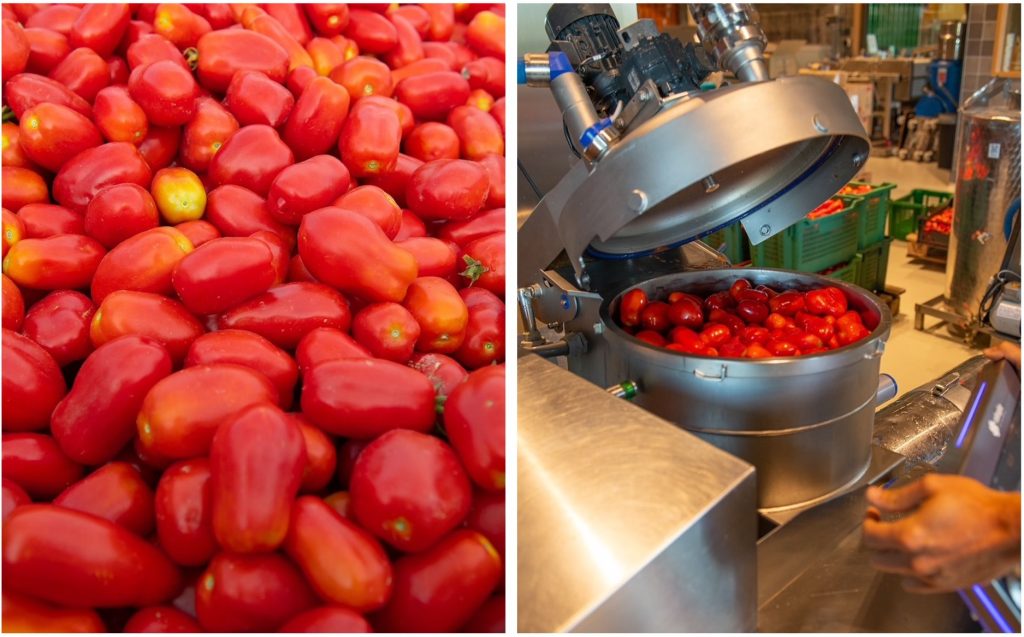 tomato sauce Chiavalon